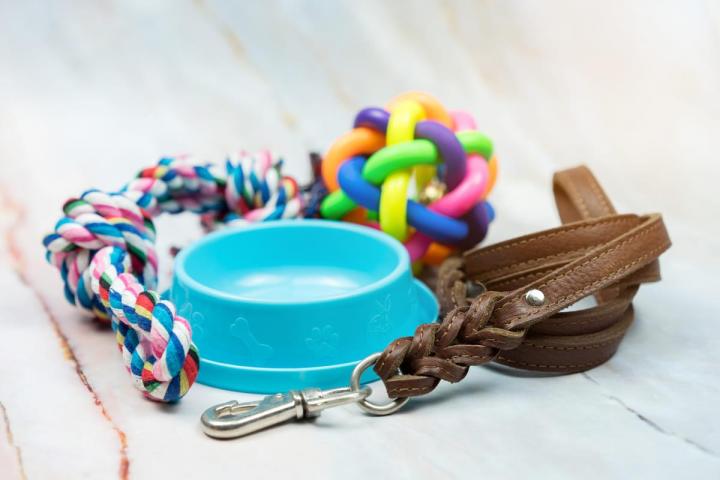 Pet Supplies Hallandale Beach