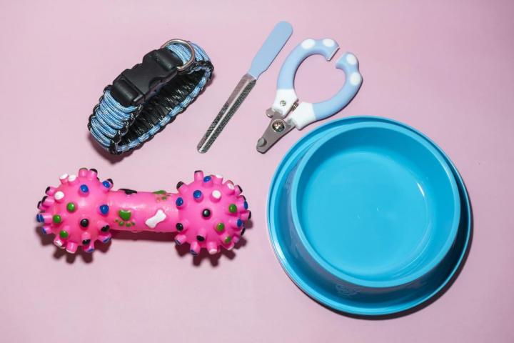 Pet Supplies Hallandale Beach